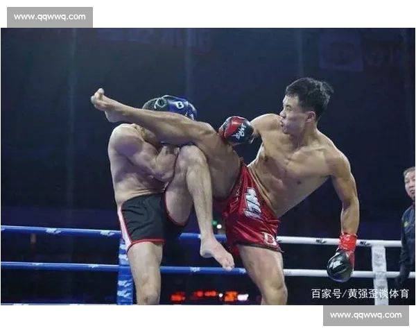 王延新挑战一龙巅峰对决胜负未卜 谁将主宰武林格斗新风潮